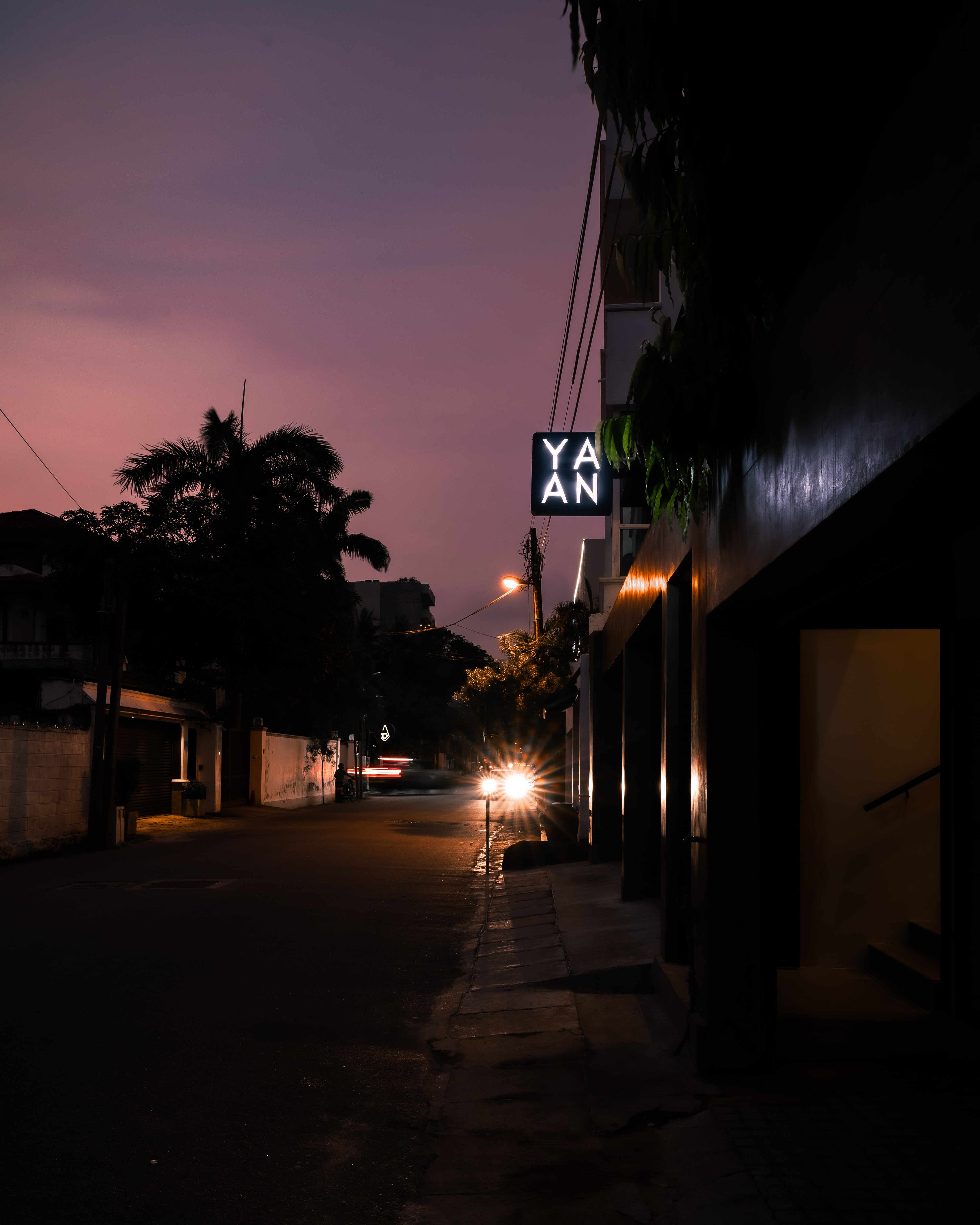 YAAN - Image 10